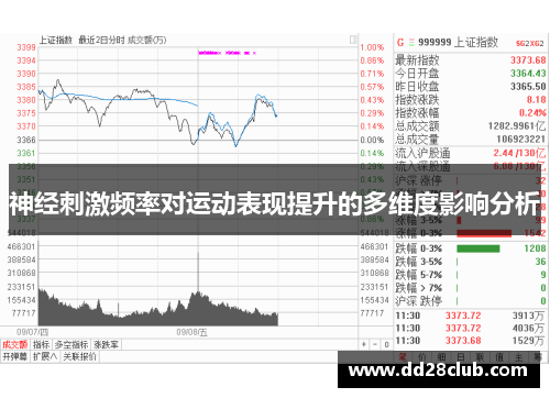 神经刺激频率对运动表现提升的多维度影响分析