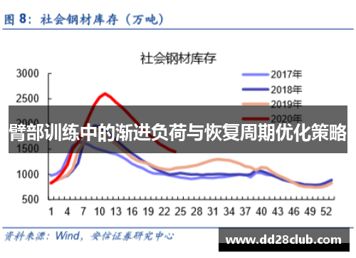 臂部训练中的渐进负荷与恢复周期优化策略
